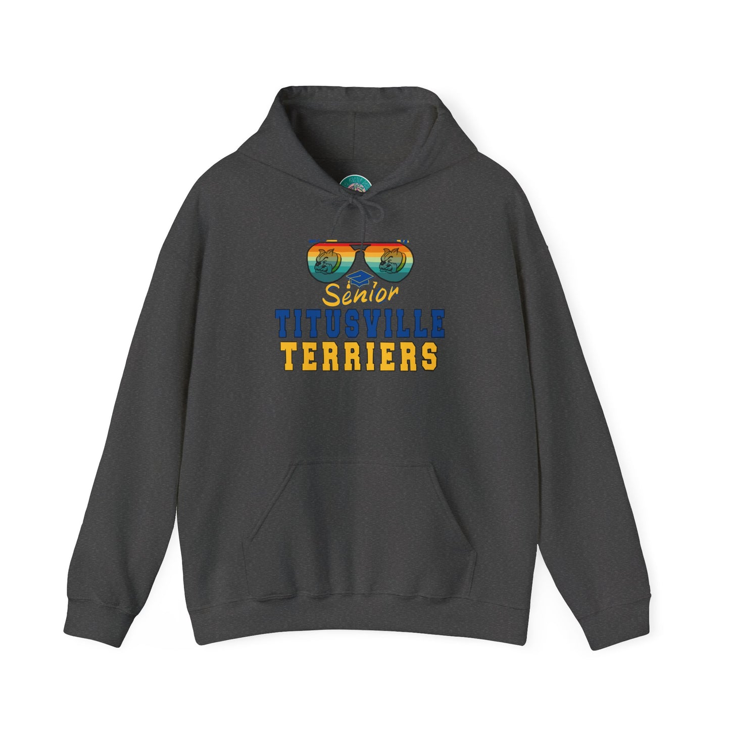 Titusville Terriers Senior Class of 26 Hooded Hoodie